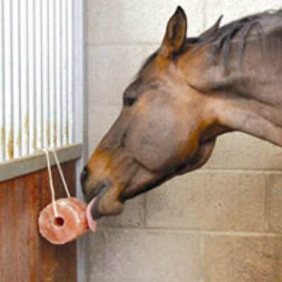 进口喜马拉雅盐砖矿物质盐块牛羊马牲畜专用畜牧微量元素舔盐|ms