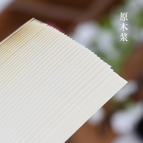 A5 Loose-Leaf Refill 6-Hole Loose-Leaf Notebook Core, 100g Thickened B5 Inner Pages, 9-Hole A4 Large-Size Perforated Inner Sheets