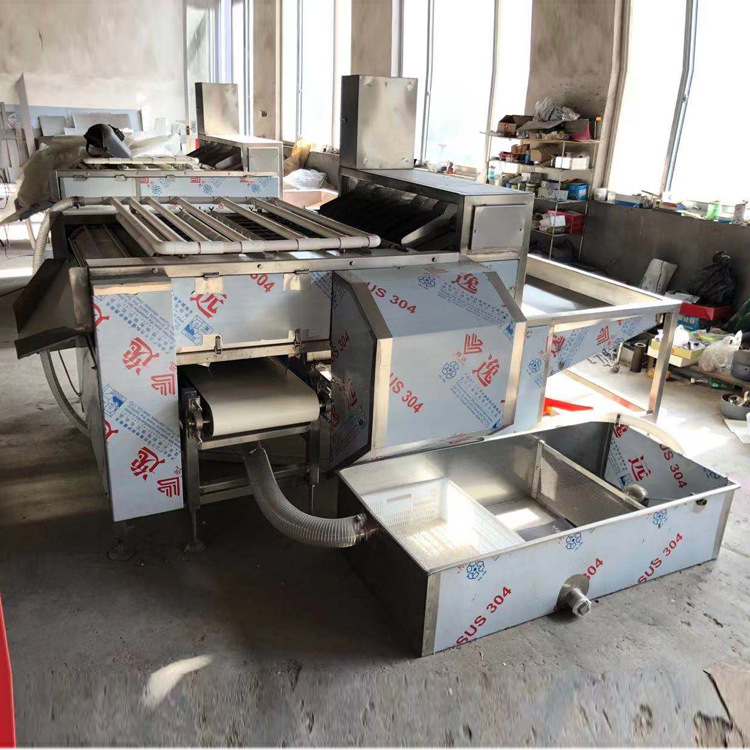 熏蛋卤蛋剥壳去皮机 全自动熟蛋剥壳机 鸡蛋鹌鹑蛋去皮设备