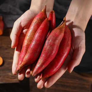 �ӹ����Ƹ����������� ���r����Ŵܛɳ�ؼt�����t��عϬF�ڬF�l