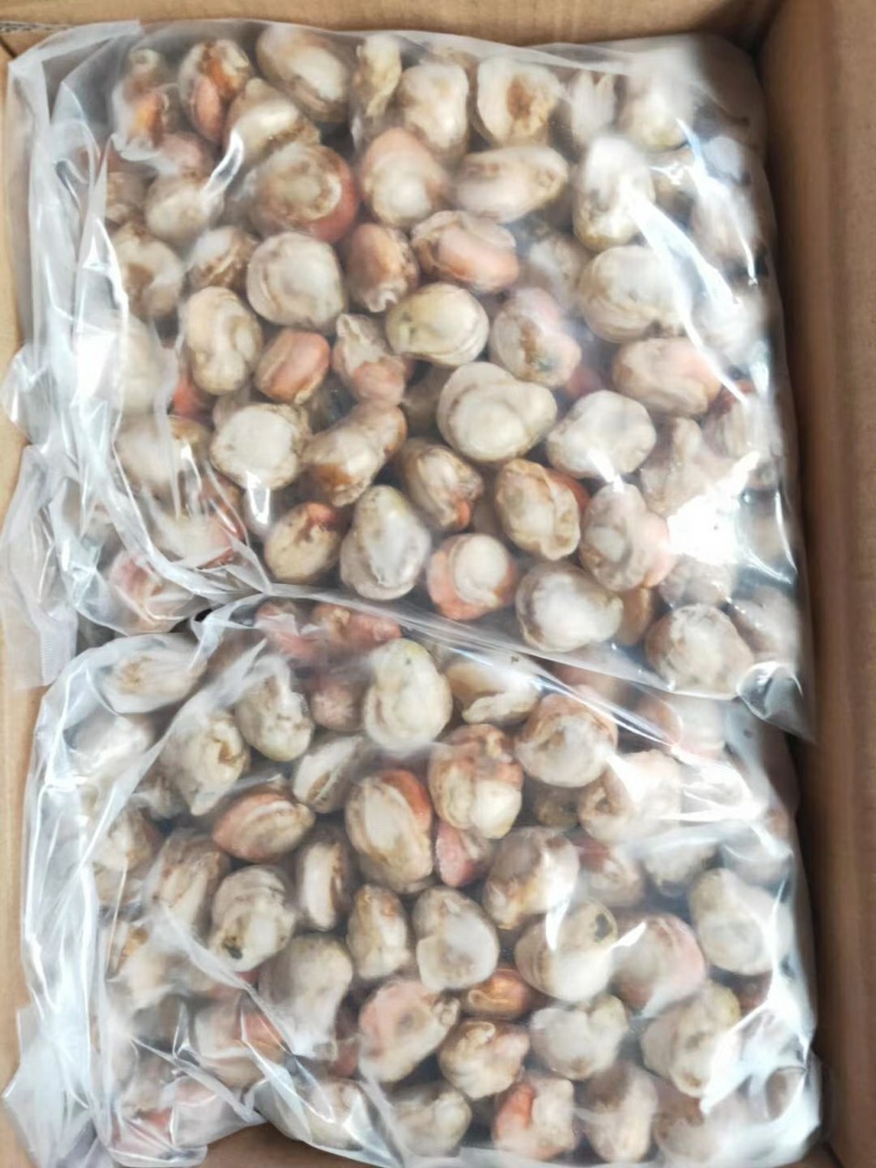 扇貝肉 淨肉速凍粗加工冷凍水産品批發10斤/件