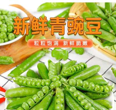 云南新鲜豌豆青豆带壳蔬菜类新鲜蔬菜毛豆荷兰豆角5斤包邮