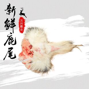 ¹β���r�ݾ���Ƶ�깩���L����؛Դ�^�a�����r¹β