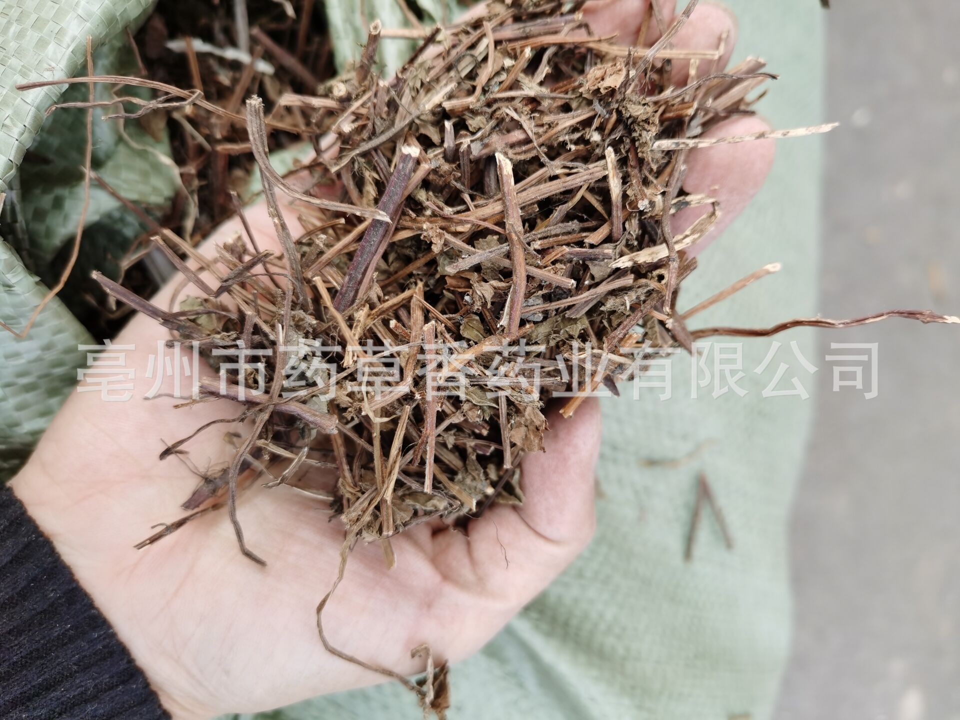 批发凉粉草 仙人草 仙人冻 仙草干 草本凉茶原料 产地直销凉粉草-阿里巴巴