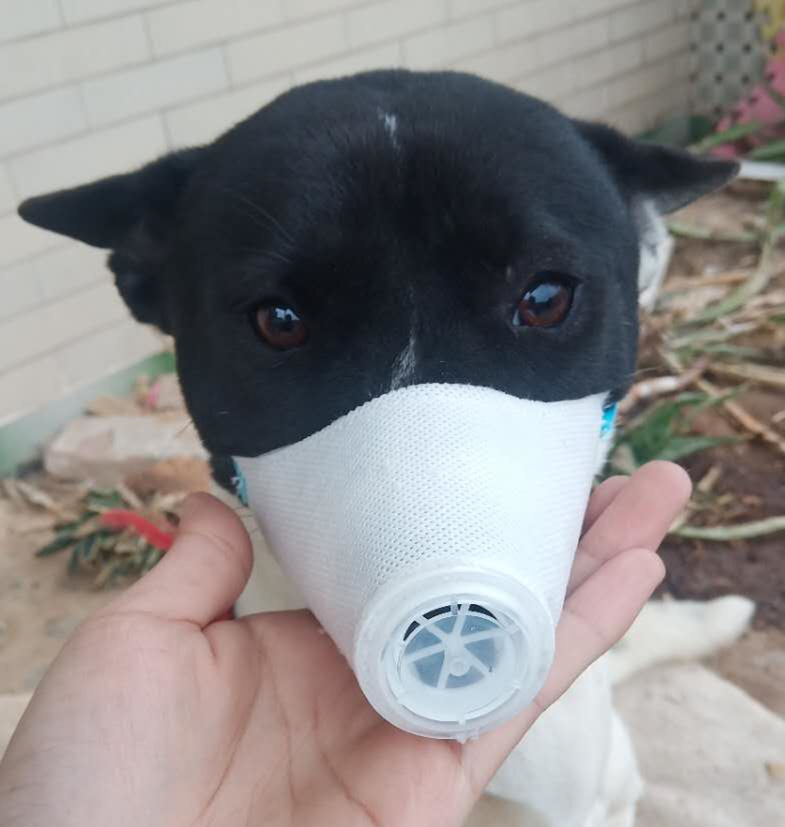 22add0b4b1a6ae5b4fb3bc83c48979