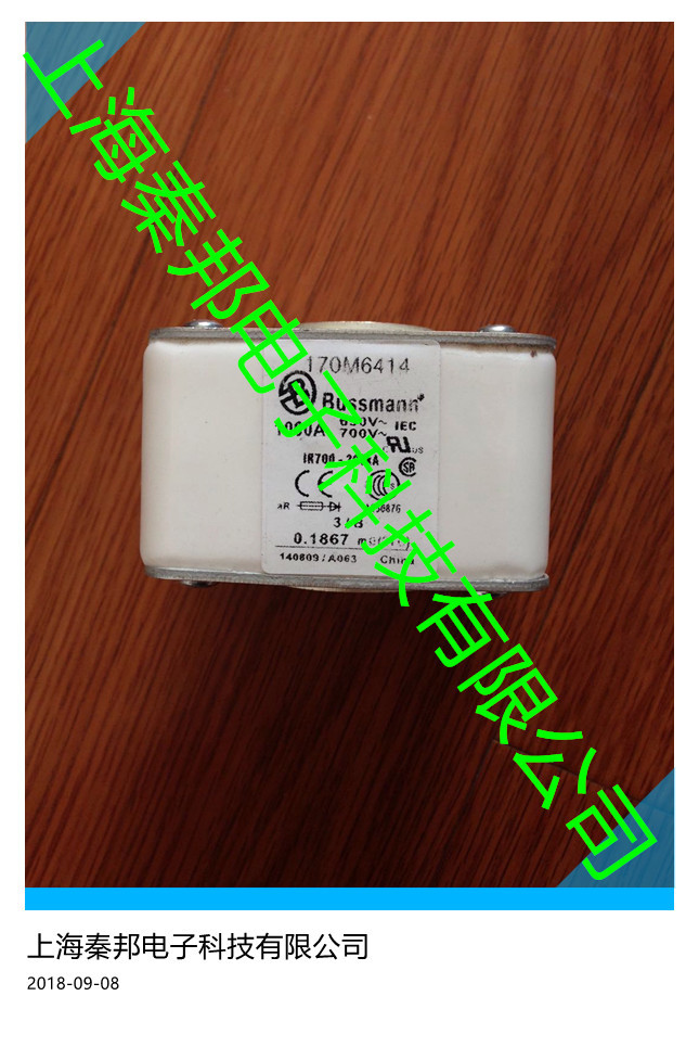 [170M3972][170M3973 ]美国EATON伊顿bussmann熔断器