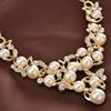 Set from pearl, necklace, fashionable chain, dress, accessories, European style, food bag