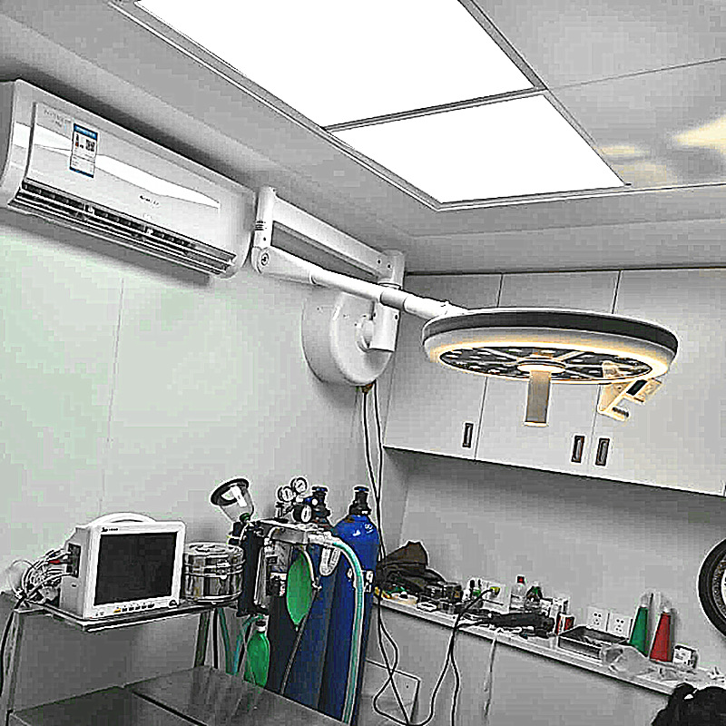 Hospital cosmetology Wall hanging oral cavity plant Shadowless lamp Operation room a chandelier move vertical LED Pet Clinic