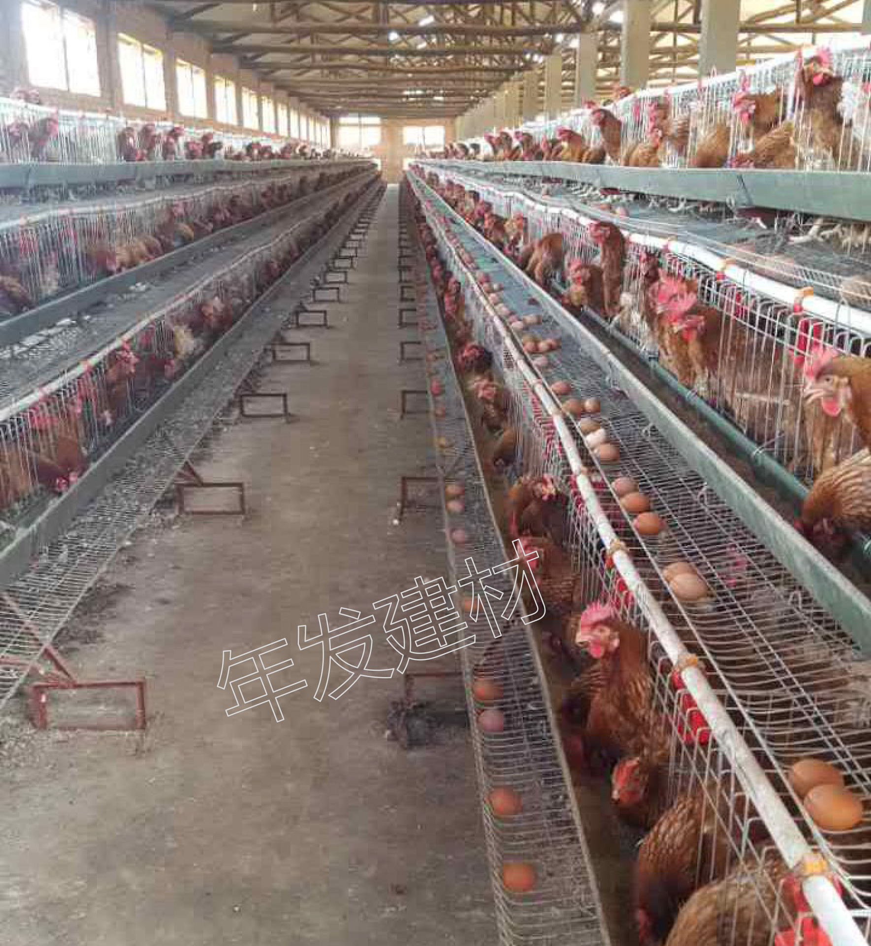 工厂生产销售育雏鸡笼蛋鸡笼 三层四层可叠式鸡笼调节网不跑鸡-阿里巴巴