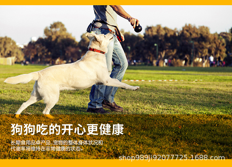 全价成犬粮1_06.jpg