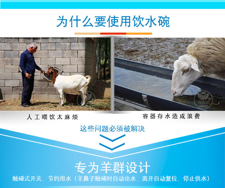羊饮水碗AA详情页(2).jpg