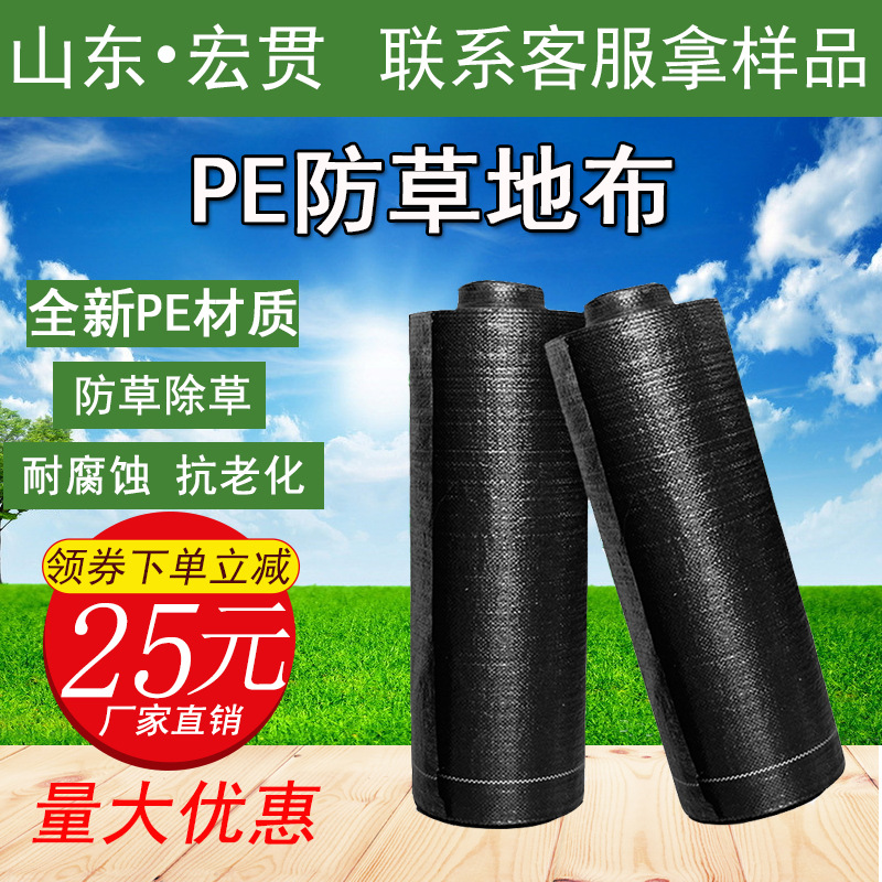 brand new PE Weed ventilation Seepage Orchard Weed gardening Ground cloth wholesale supply