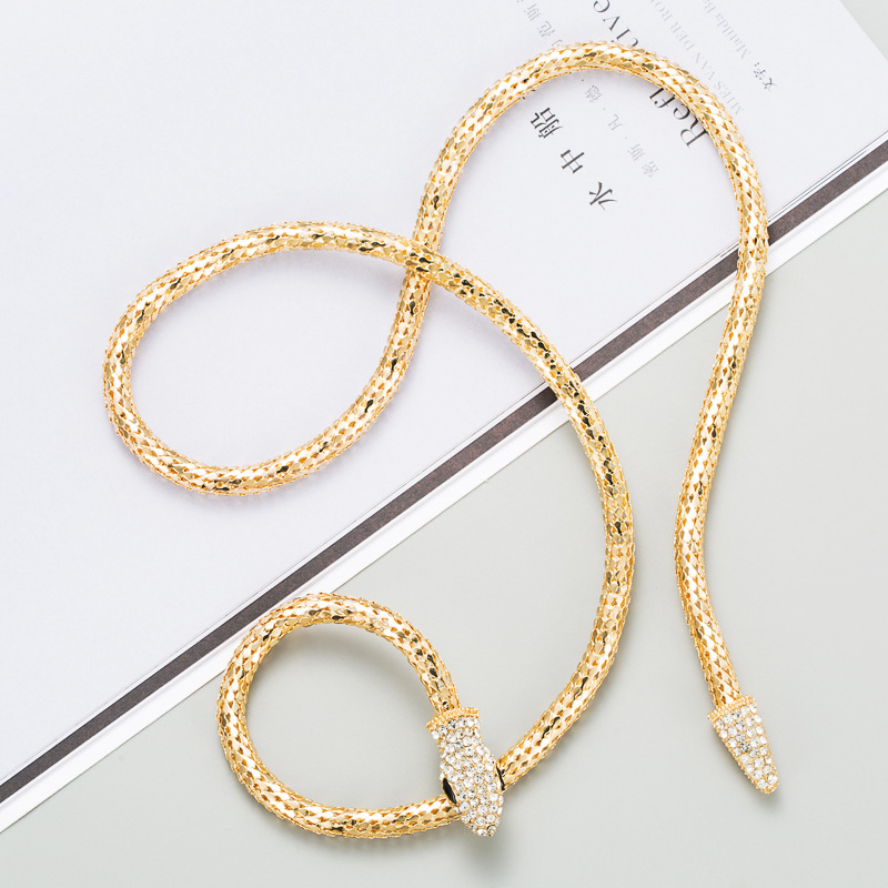 Creative Simple Snake-shaped Hollow Chain Necklace display picture 6