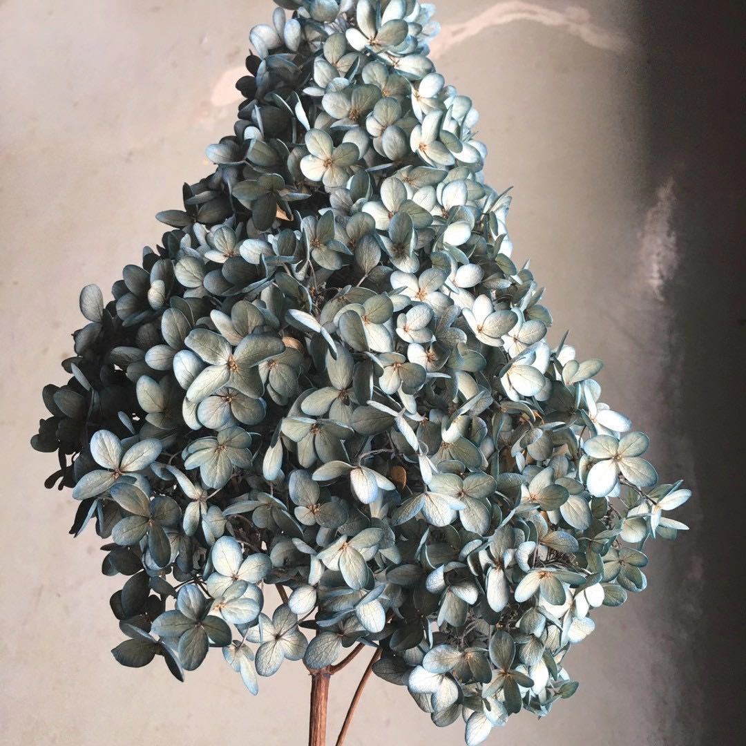 微信图片_20201018153227