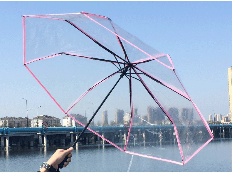 10931435422_2119238038