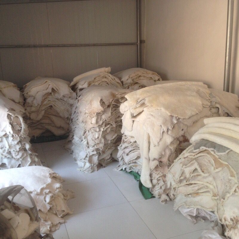 29B89C352342720FD44DBC943146F9