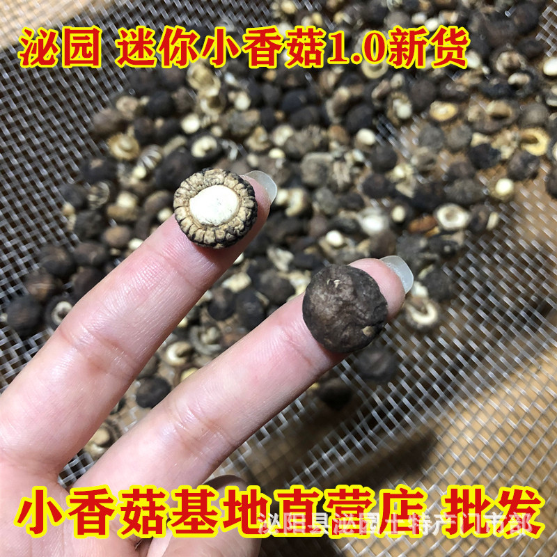 河南西峡香菇干货 椴木小花菇干货产地直批 500克一件代发冬菇