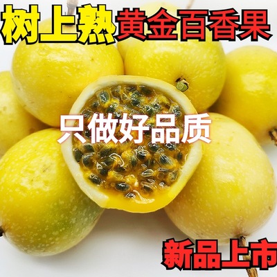 现货黄金百香果 百香果大果 一件代发 新鲜百香果  水果产地直发|ms