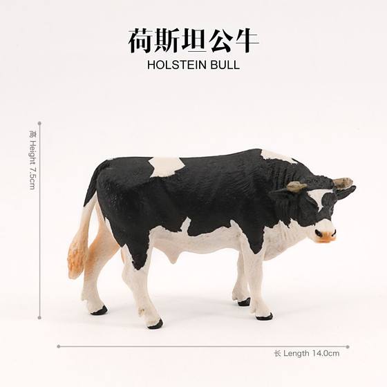 Simulation wild animal model bull cow cow solid static farm children's cognitive toy ornaments hand