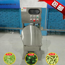 șжΙC پ²˴[в˙CS  P䓹в˙C