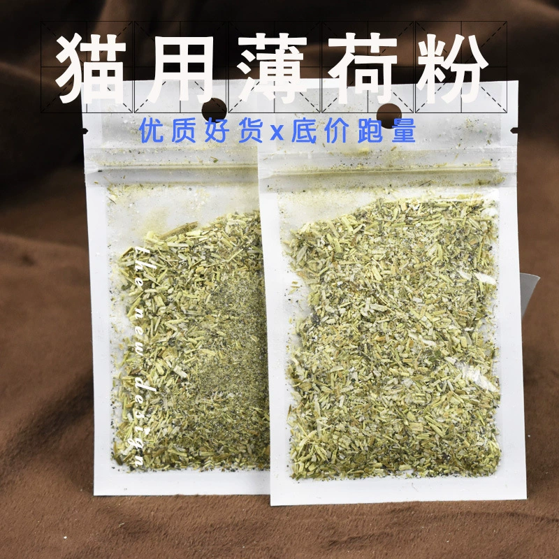 Порошок кошачьей мяты Домашнее животное Натуральный порошок кошачьей мяты Листья еды Трава Листья сена Кошачья закуска Кошачья мята