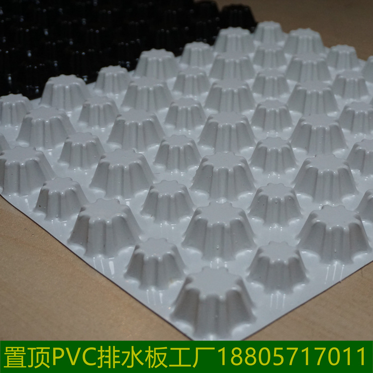 置頂PVC排水板工廠18805717011 (1)