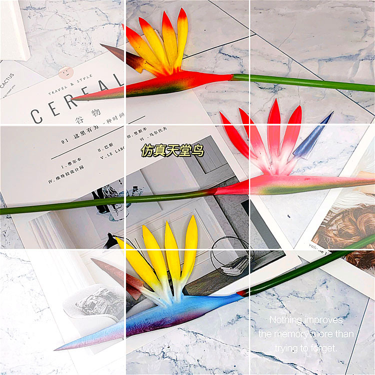 QQ图片20200605192341