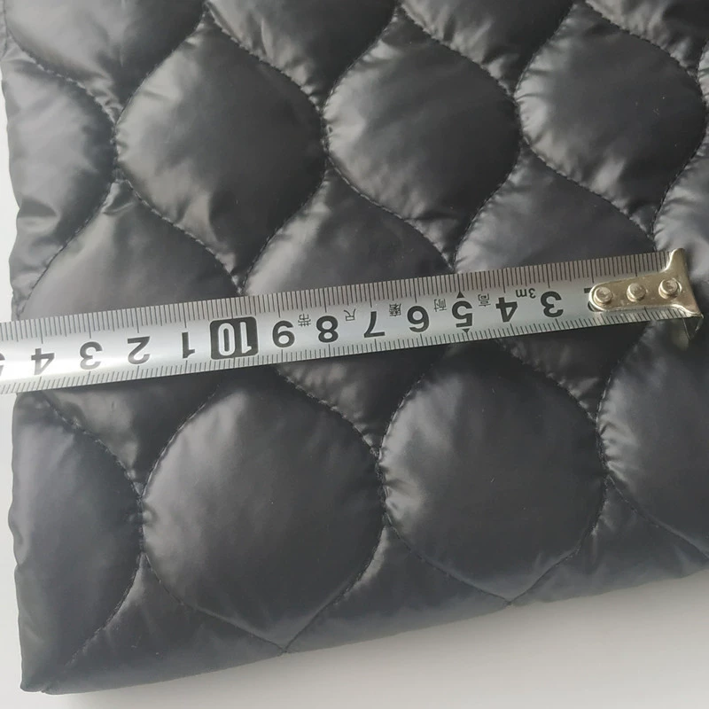 Polyester taffeta embroidered fabric 50D high-density film calendered quilted 140g spray-coated cotton composite quilted warm down