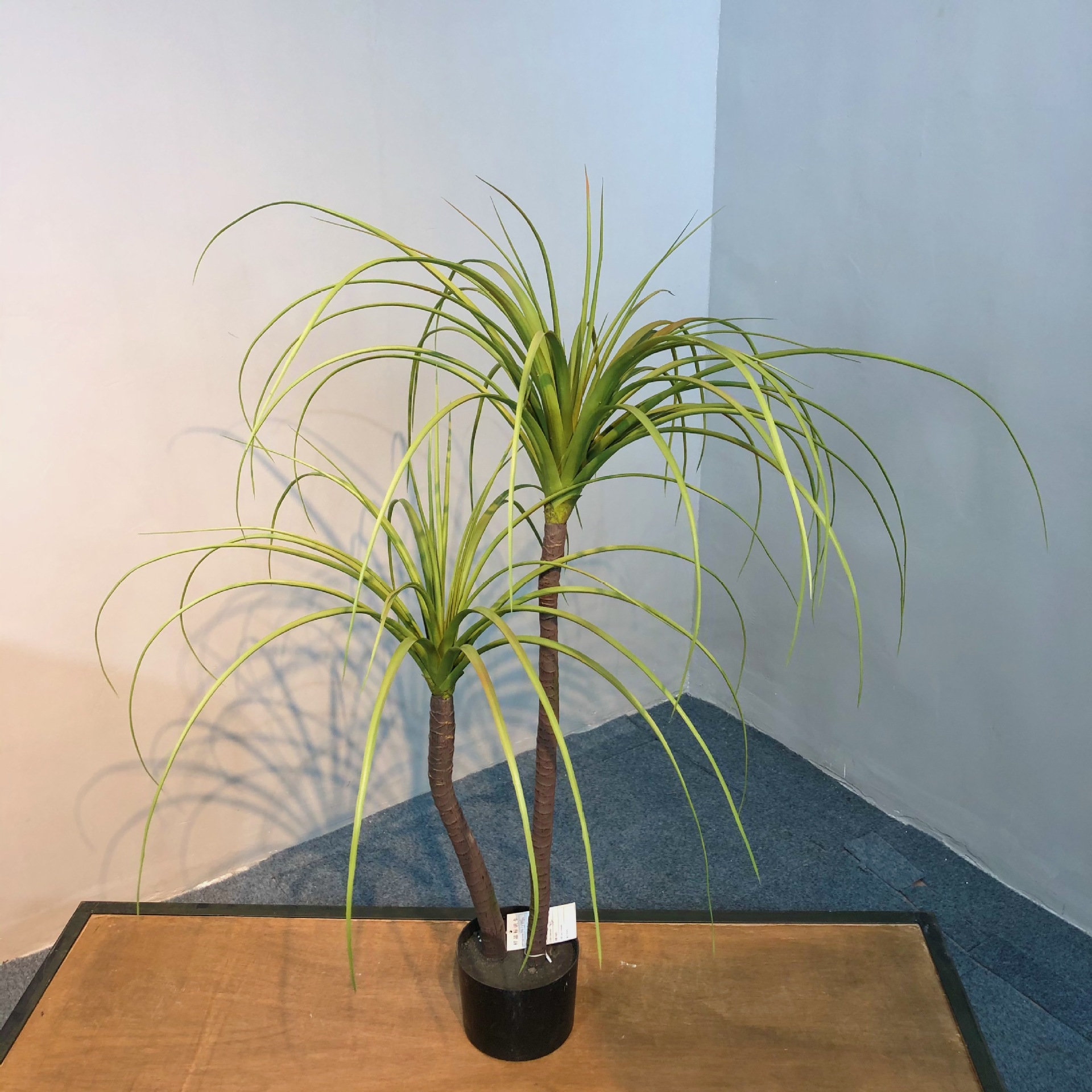 9267856e3086dc7b93a4297fee95d2