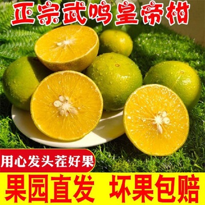 广西皇帝柑桔子10斤新鲜水果包邮当季整箱蜜桔贡柑大果橘子柑橘|ms
