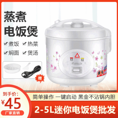 厂家直销多功能家用电饭锅学生宿舍电迷你1-2人饭煲2L3L4L5L批发|ru