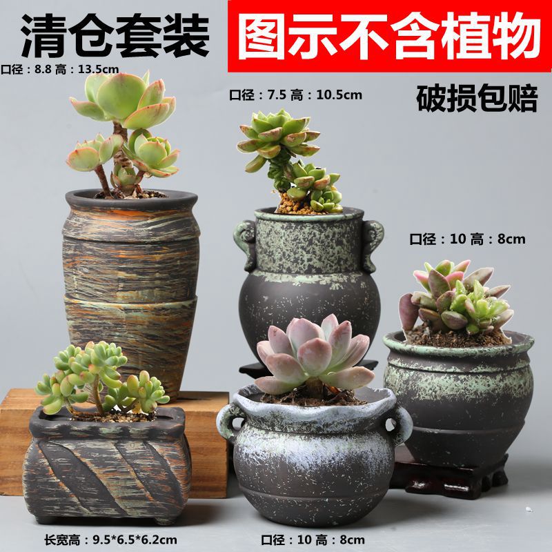 5S9A9873_副本_副本