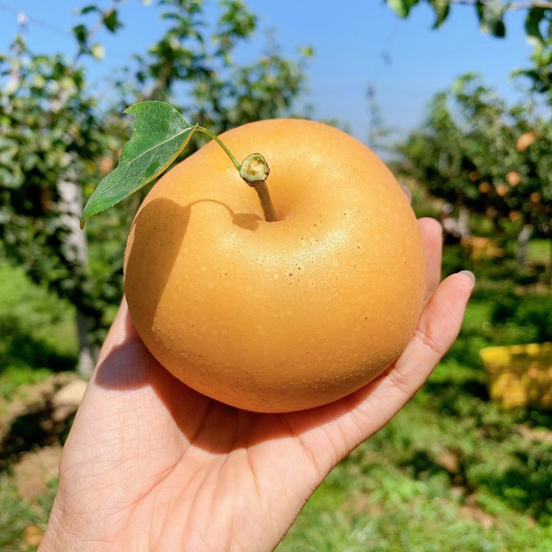 微信图片_20201103113802