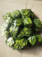 36~عϲӡٗlGɫbƷ12lһһl2.4׷ٗl