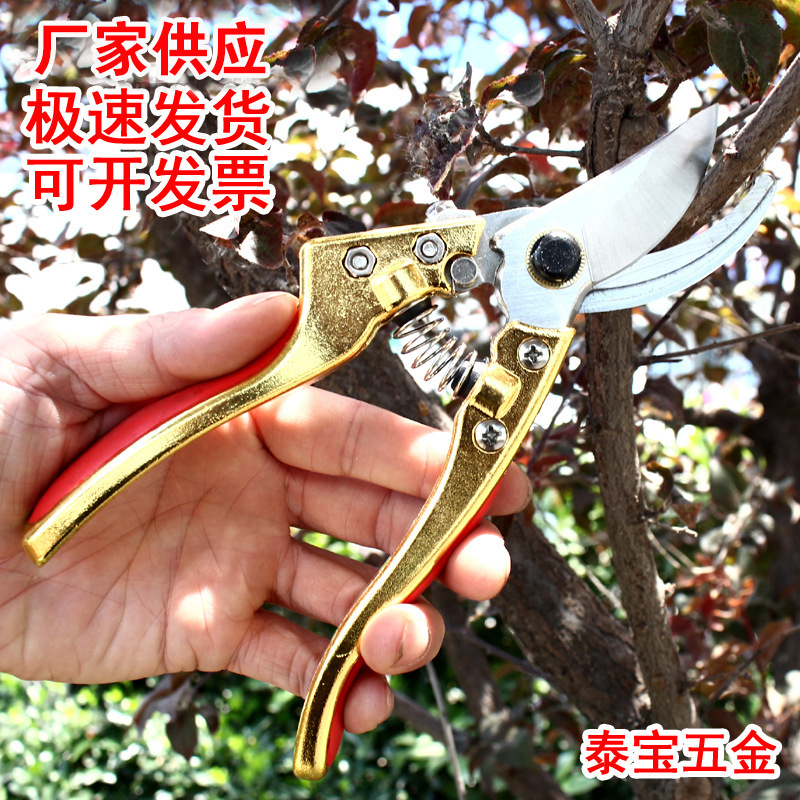 特价促销省力不锈钢园林工具剪花木树枝剪刀多功能修枝果枝剪v9剪