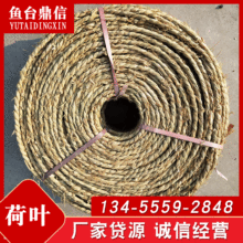 �S�����l�G���h�����K Ҏ���Rȫ������������ײ���b�\ݔ