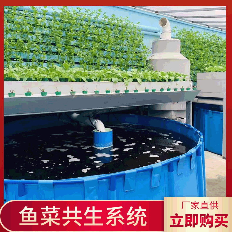 鱼菜共生系统定制 温室大棚水循环系统鱼菜共生无土栽培系统