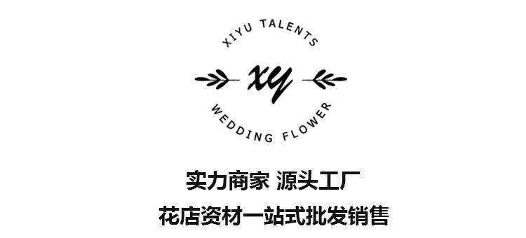 未标题-2xiyu11-zhu