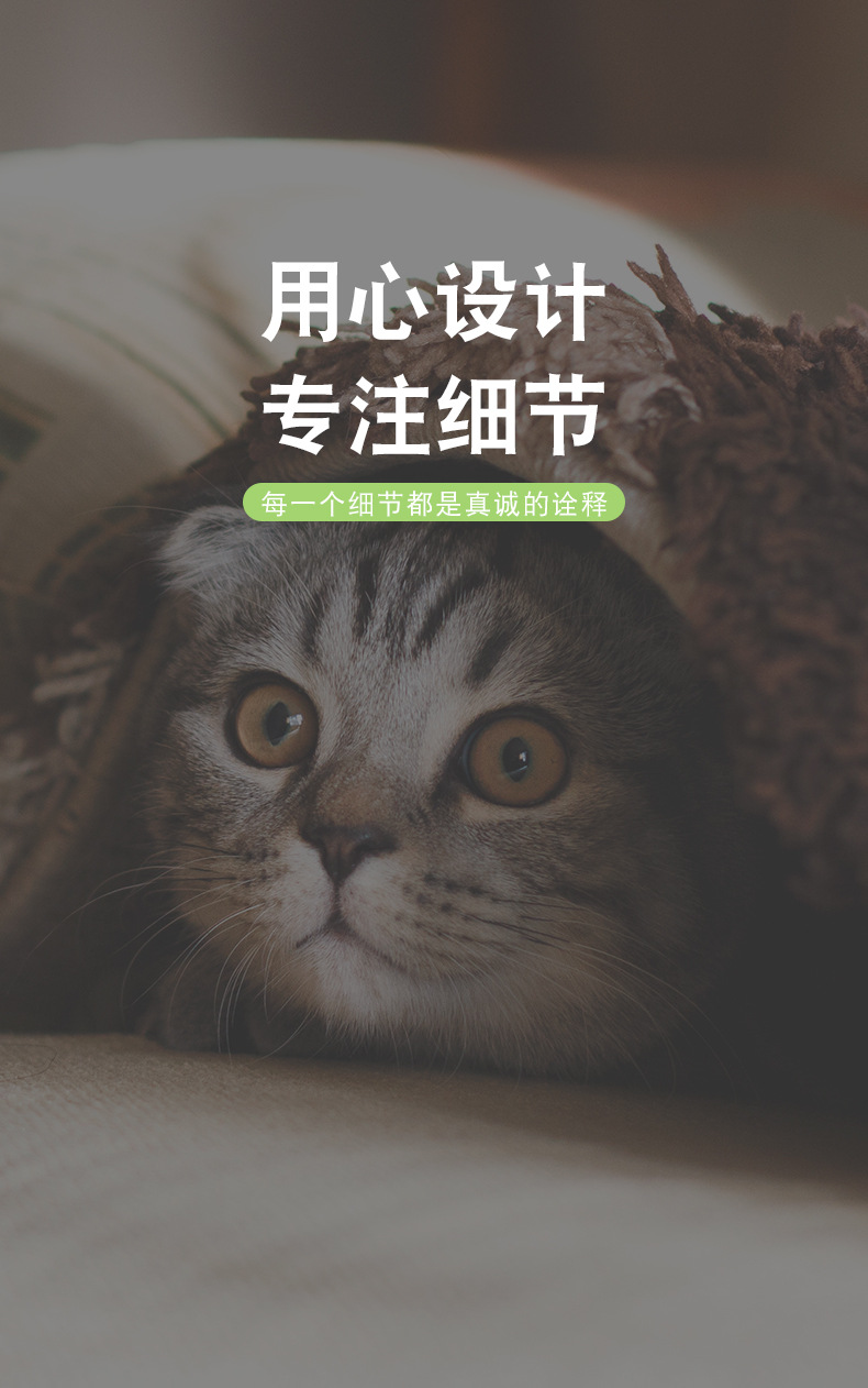 猫吊床_10.jpg