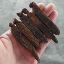 �L��ɽ��߅�l���o���Ǹ����˅��t���l������Ƭ�ݾƟ�����ș�ą���