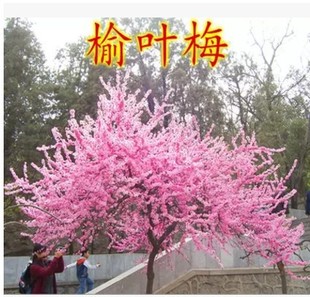 �޽�÷������t÷�D÷�G÷�䘶�辰����÷���~÷��ͥԺ����÷����