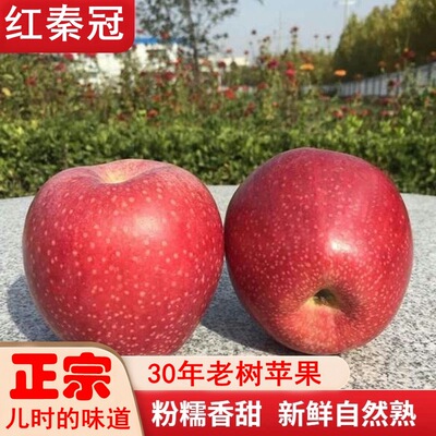 Trees Apple Red bananas Season fruit 10 Noodles Sweet sand Pingguo wholesale