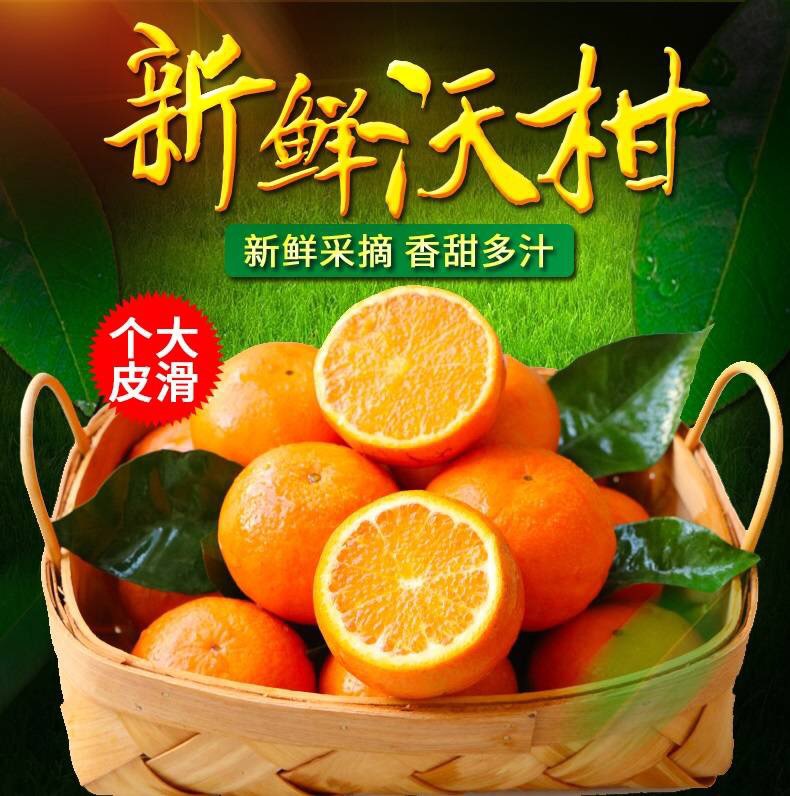 1 - 副本.jpg