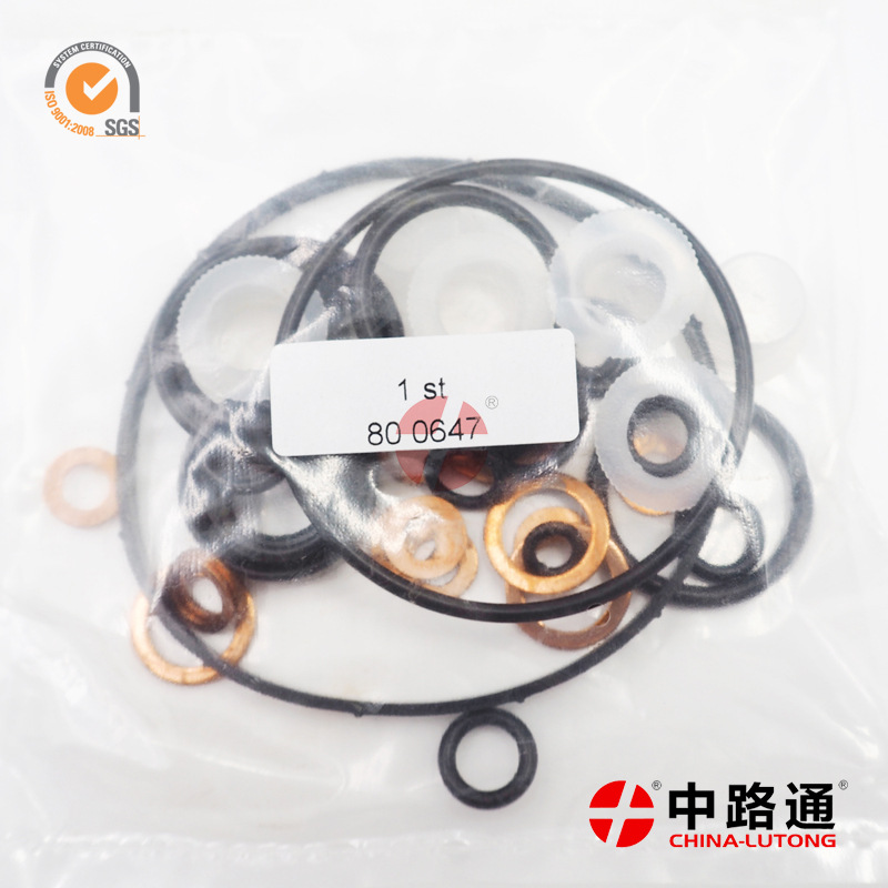 Injection-pump-rebuild-kit-800