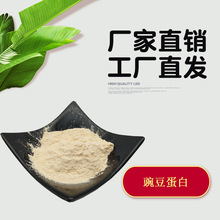 豌豆蛋白80% 水溶豌豆蛋白粉 豌豆提取物 豌豆粉 1千克/袋