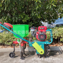 汽油单仓玉米播种机 茶园自走式追肥机 谷子大豆施肥机价格