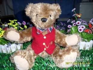 �P����  ����ë�qTEDDY�� �����·�