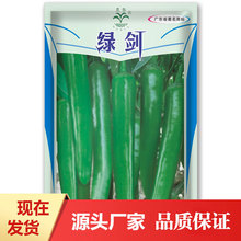 鳳鳴雅世批發 綠劍牛角椒種子8克熱賣 基地用種 蔬菜種子公司