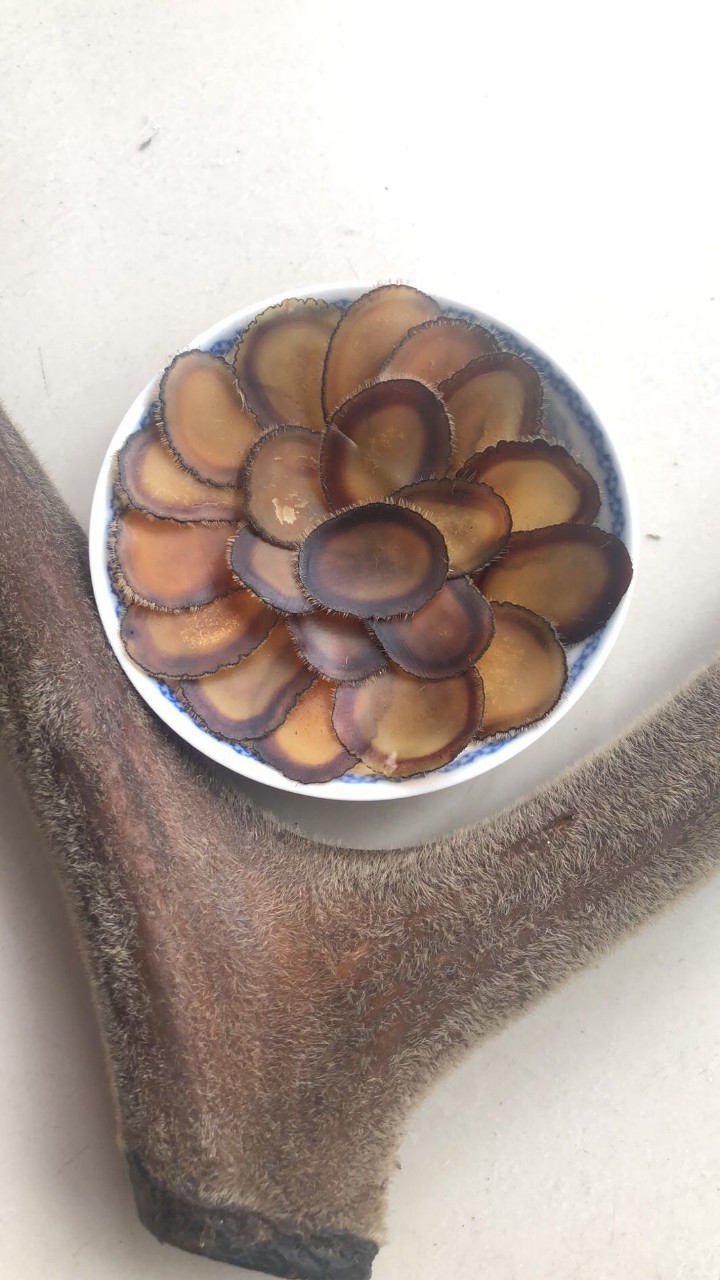 鹿茸腊片 鹿茸全腊片 腊片