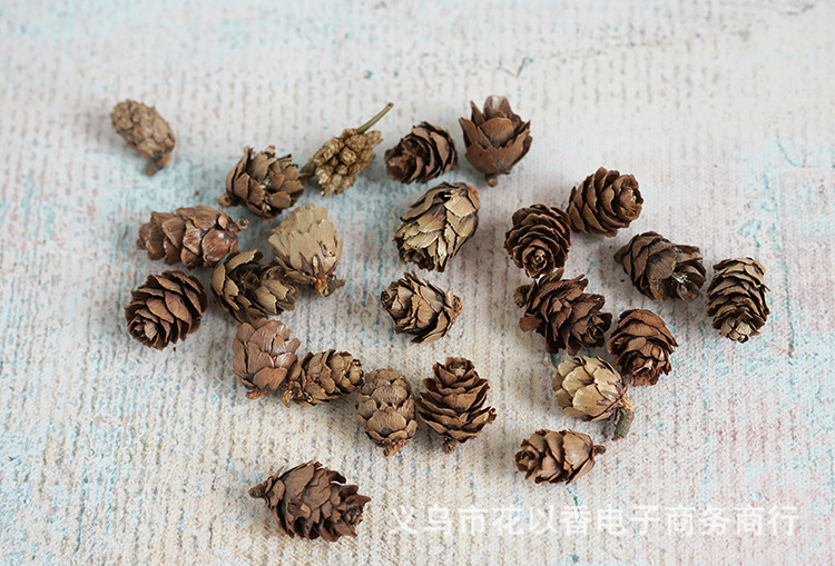 迷你小松果—义乌花以香